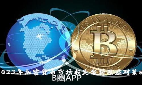 2023年加密貨幣市場損失分析及應(yīng)對策略