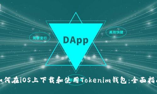 如何在iOS上下載和使用Tokenim錢包：全面指南