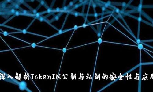 深入解析TokenIM公鑰與私鑰的安全性與應(yīng)用