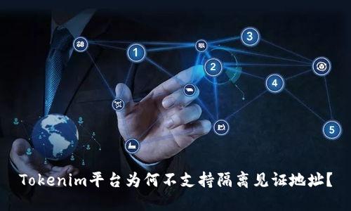 Tokenim平臺為何不支持隔離見證地址？