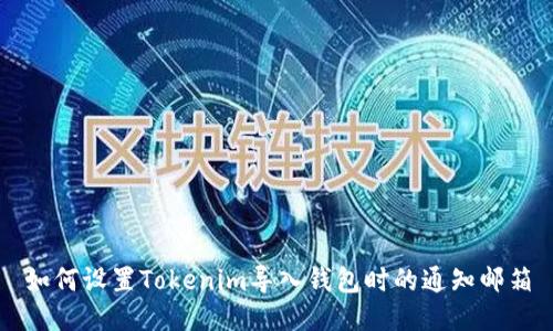 如何設置Tokenim導入錢包時的通知郵箱