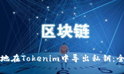 如何安全地在Tokenim中導出私鑰：全方位指南