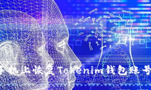 如何在新手機(jī)上恢復(fù)Tokenim錢包賬號(hào)：詳細(xì)指南