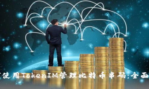 如何使用TokenIM管理比特幣串碼：全面指南