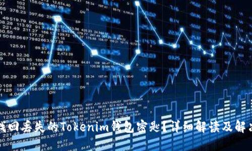 如何找回丟失的Tokenim錢包密匙？詳細(xì)解讀及解決方案