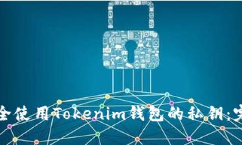 如何安全使用Tokenim錢包的私鑰：完整指南
