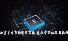 加密貨幣市場遭遇寒流：