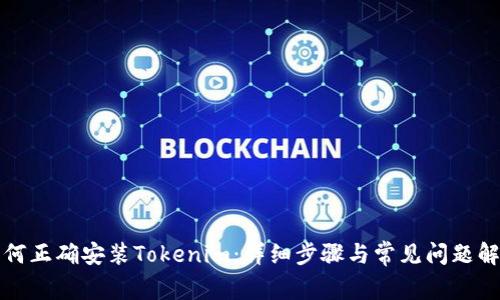 如何正確安裝Tokenim：詳細(xì)步驟與常見(jiàn)問(wèn)題解答