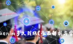 火幣提到Tokenim多久到賬？