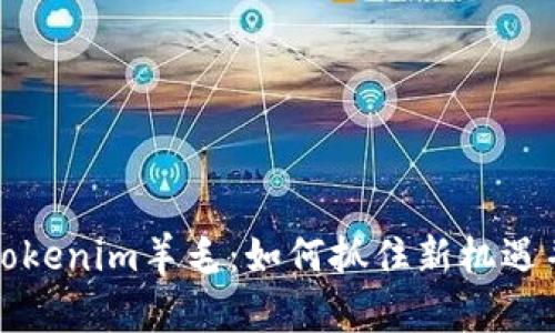 深入解析Tokenim羊毛：如何抓住新機(jī)遇并投資策略