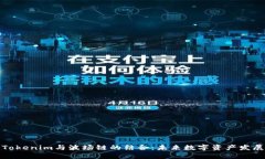 深入分析Tokenim與波場(chǎng)鏈的