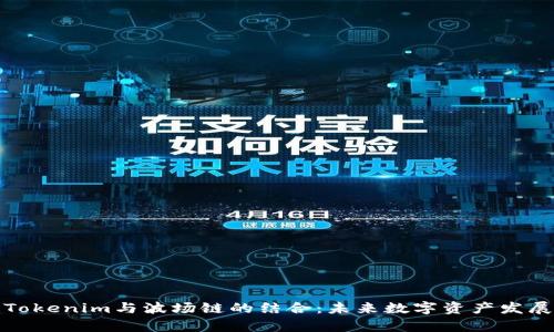 深入分析Tokenim與波場鏈的結(jié)合：未來數(shù)字資產(chǎn)發(fā)展的新機遇