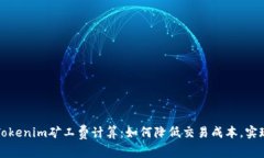 深入剖析Tokenim礦工費計算