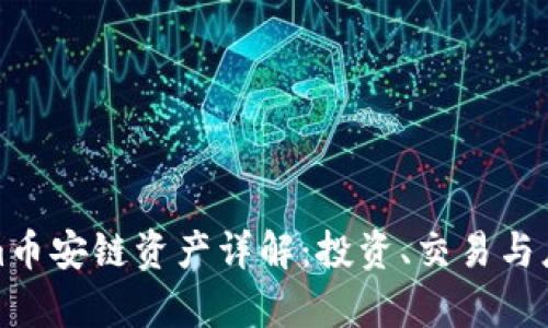 Tokenim幣安鏈資產(chǎn)詳解：投資、交易與應(yīng)用前景