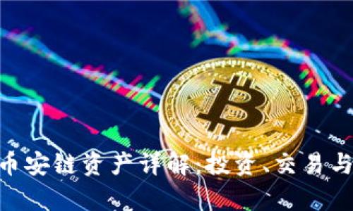 Tokenim幣安鏈資產(chǎn)詳解：投資、交易與應(yīng)用前景