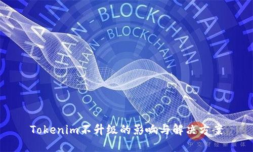 Tokenim不升級(jí)的影響與解決方案