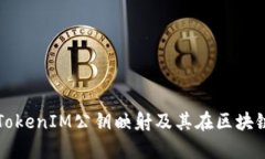 全面解析TokenIM公鑰映射及