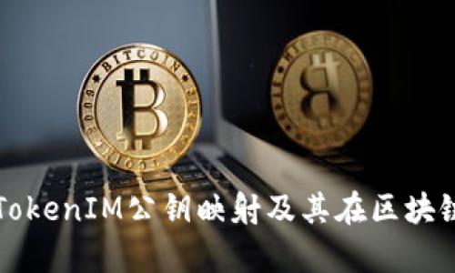 全面解析TokenIM公鑰映射及其在區(qū)塊鏈中的應(yīng)用