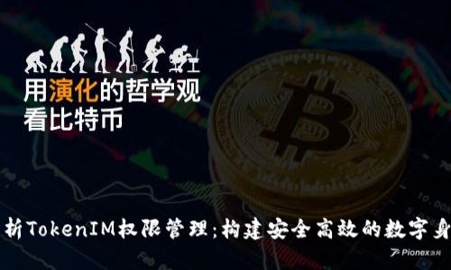 深入解析TokenIM權(quán)限管理：構(gòu)建安全高效的數(shù)字身份系統(tǒng)