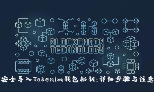 如何安全導(dǎo)入Tokenim錢包秘鑰：詳細(xì)步驟與注意事項