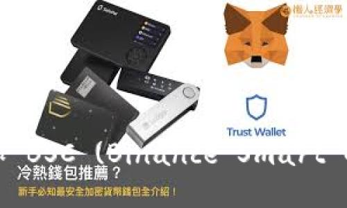 如何在 TokenIM 中添加 BSC (Binance Smart Chain) 錢包：一步步指南