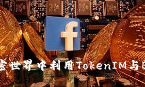 如何在加密世界中利用TokenIM與BNB的潛力