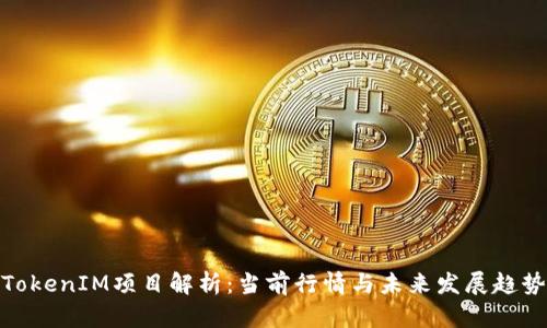 TokenIM項目解析：當(dāng)前行情與未來發(fā)展趨勢