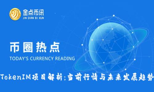 TokenIM項目解析：當(dāng)前行情與未來發(fā)展趨勢