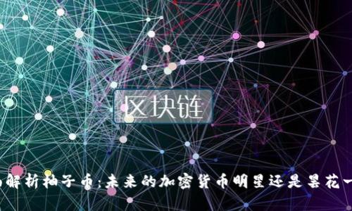 全面解析柚子幣：未來的加密貨幣明星還是曇花一現(xiàn)？