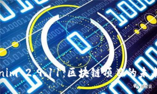 Tokenim 2.9.11：區(qū)塊鏈項(xiàng)目的未來指南