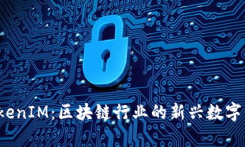  深入解析TokenIM：區(qū)塊鏈行業(yè)的新興數(shù)字資產(chǎn)管理工具