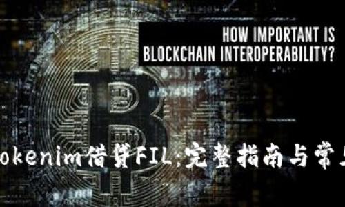 如何通過Tokenim借貸FIL：完整指南與常見問題解答