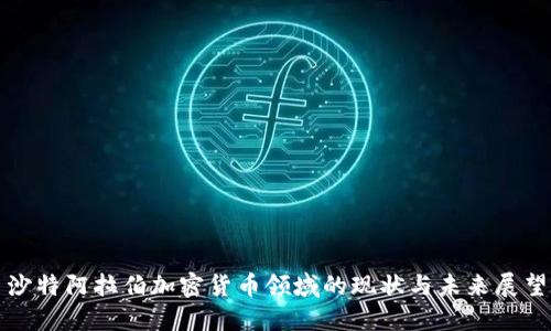 沙特阿拉伯加密貨幣領(lǐng)域的現(xiàn)狀與未來展望