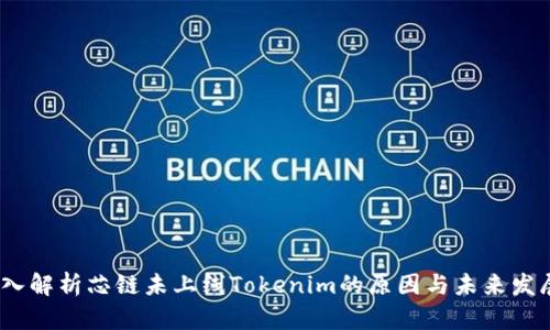 深入解析芯鏈未上線Tokenim的原因與未來發(fā)展 