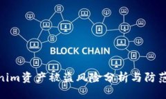 Tokenim資產(chǎn)被盜風險分析與防范策略