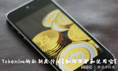 Tokenim的私鑰是什么？如何保護(hù)和使用它？